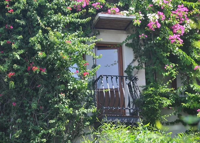 El Vino Hotel & Suites